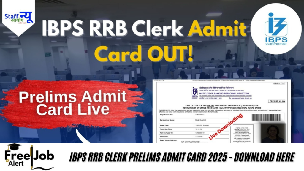 IBPS RRB Clerk Prelims Admit Card 2025 - Download Here